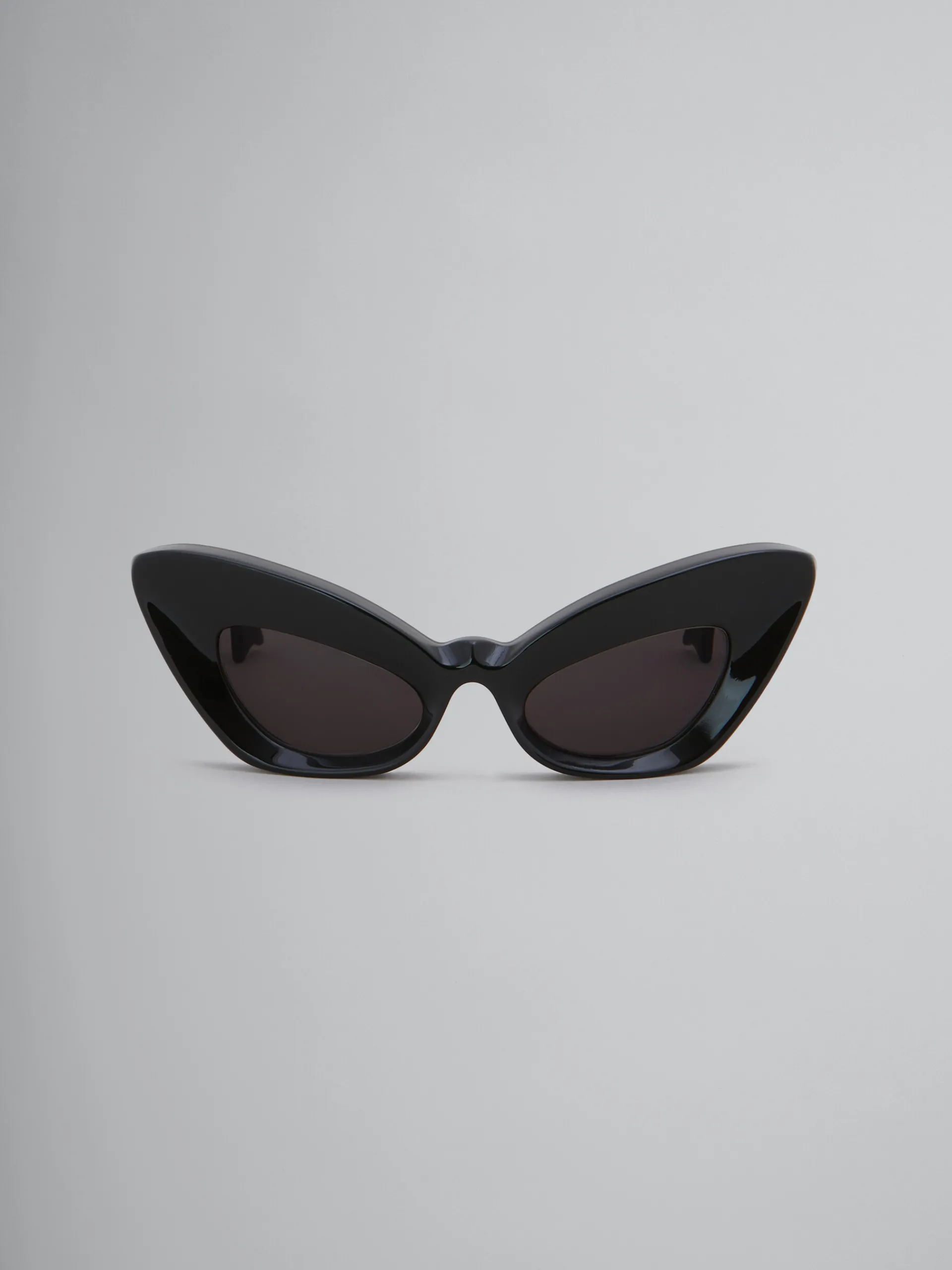 Sunglasses | Sunglasses>Marni Caelicola Sunglasses BLACK