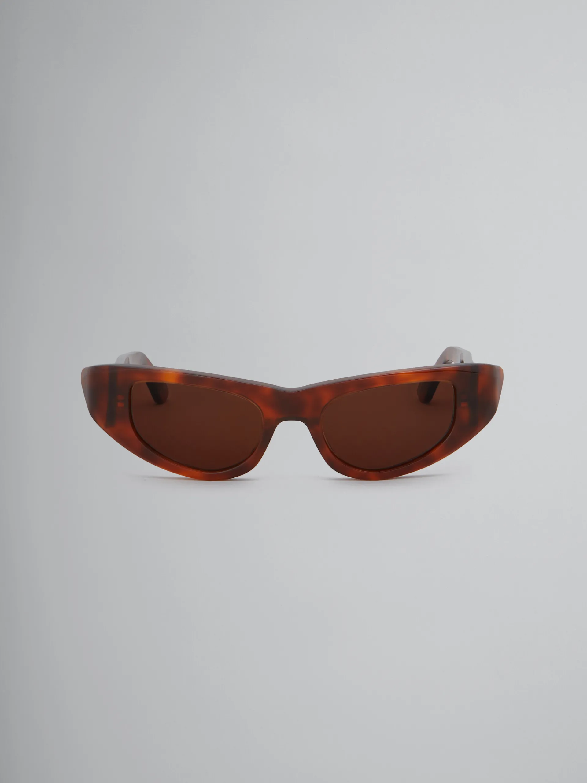 Sunglasses | Sunglasses>Marni Netherworld Sunglasses HAVANA