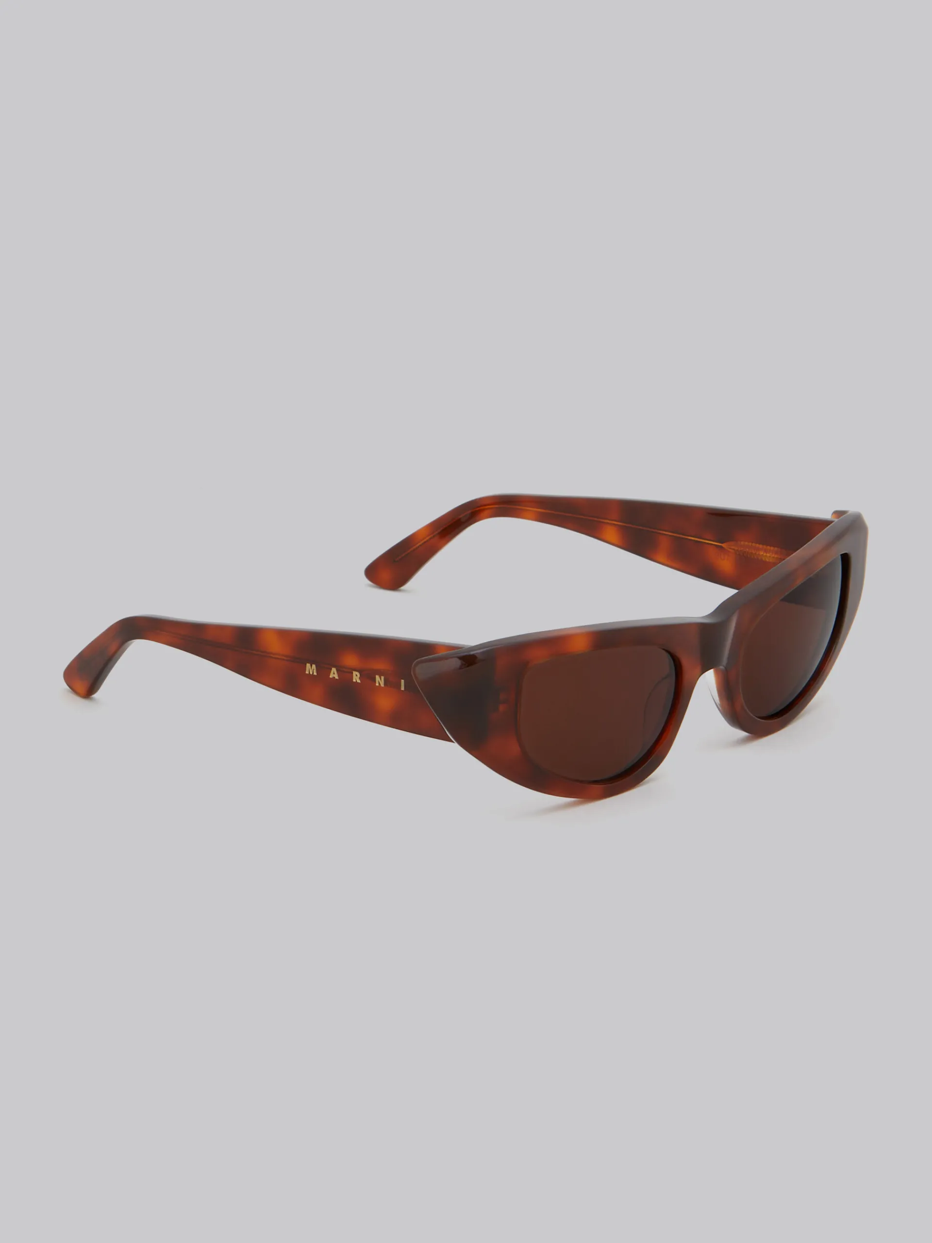 Sunglasses | Sunglasses>Marni Netherworld Sunglasses HAVANA