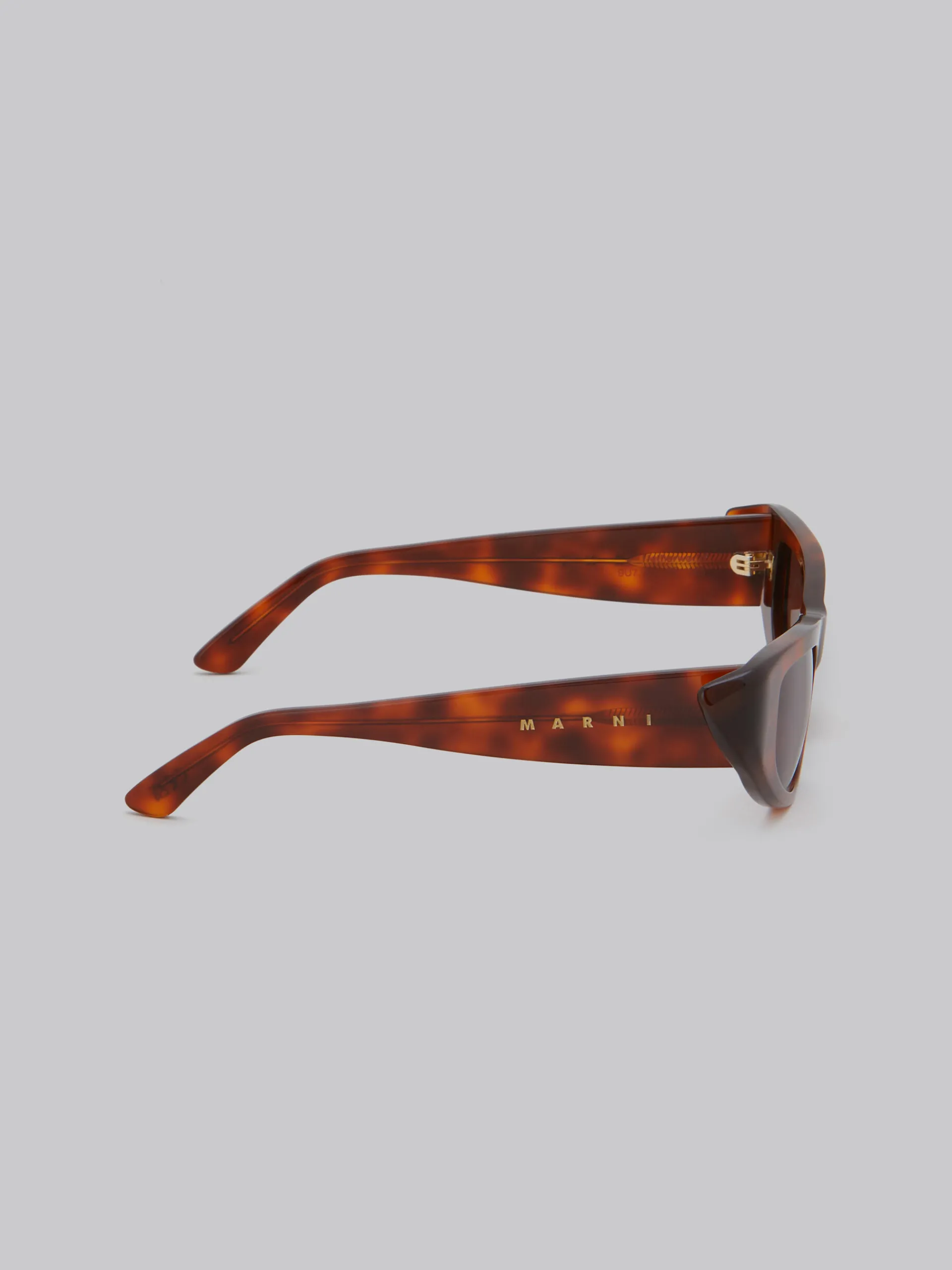 Sunglasses | Sunglasses>Marni Netherworld Sunglasses HAVANA